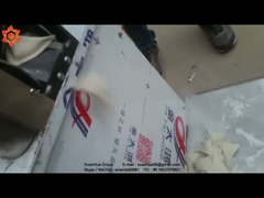 Dumpling machine test machine food